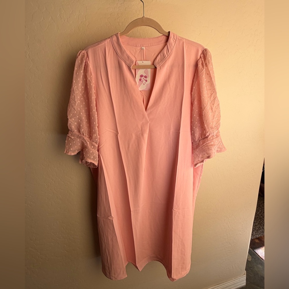 Soft Blush Dress with Sheer Puff Sleeve Detail